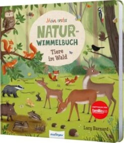 Mein Erstes Natur-Wimmelbuch: Tiere Im Wald In Bunt